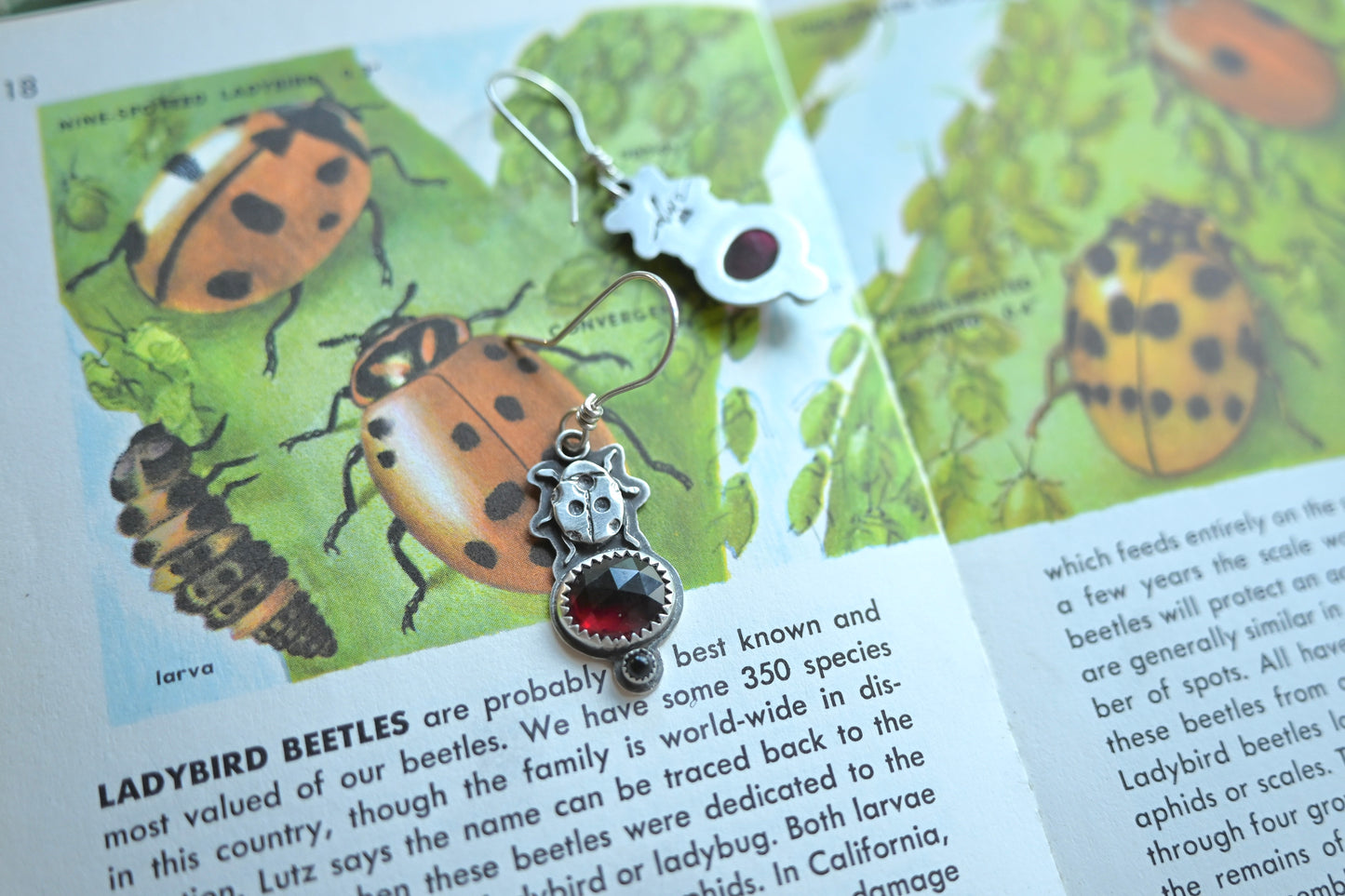 Ladybug Earrings