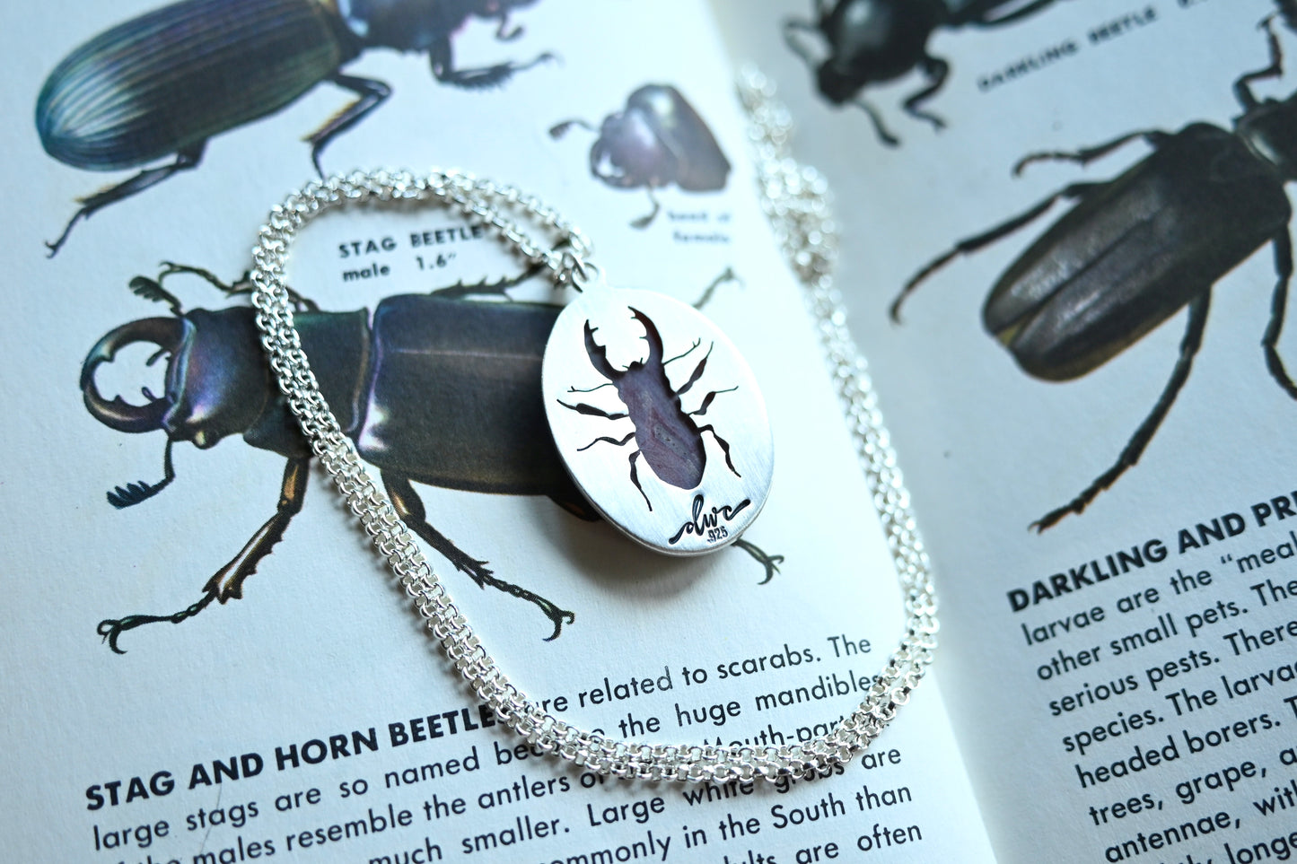 Stag Beetle + Agate Necklace - 24 inches