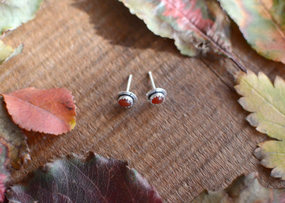 Carnelian Stud Earrings