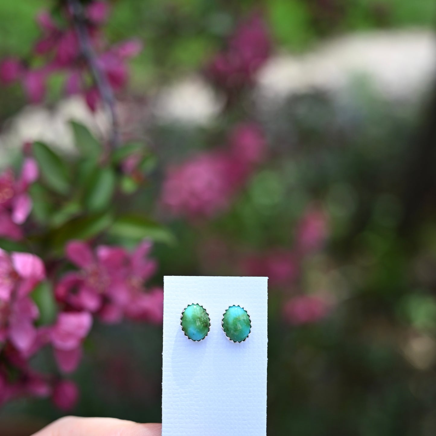 Sonoran Gold Turquoise Stud Earrings