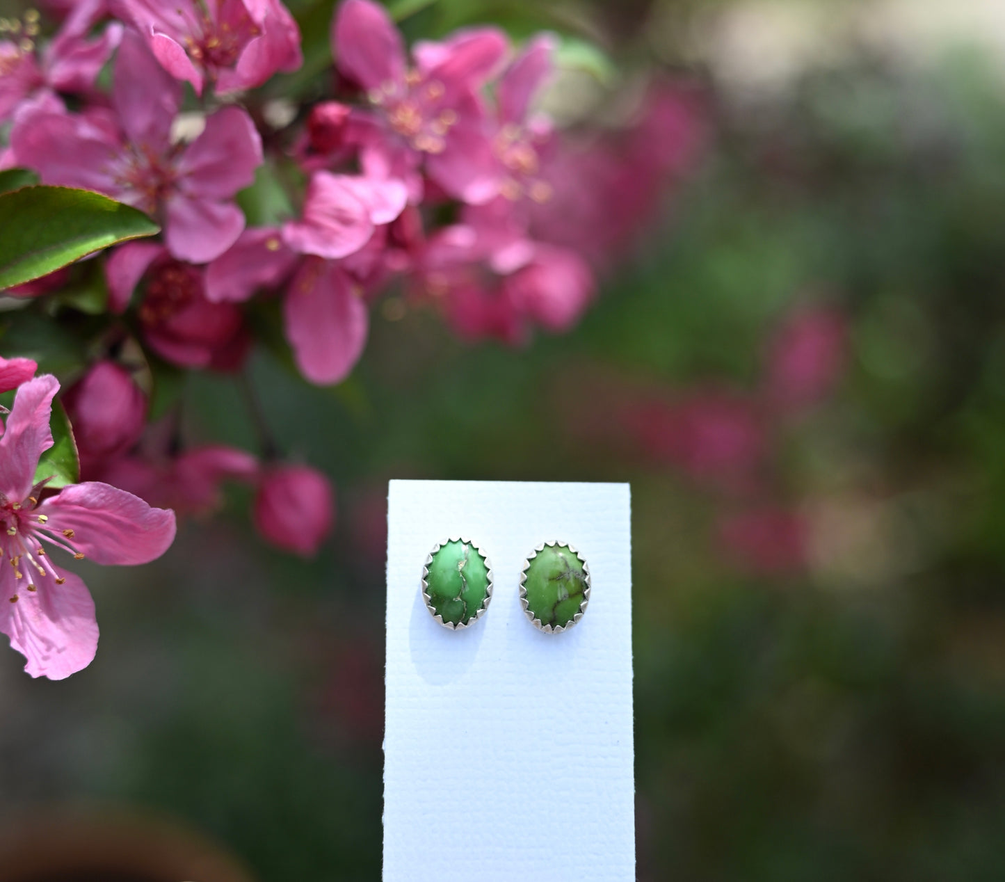 Sonoran Gold Turquoise Stud Earrings