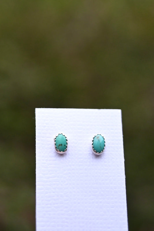 Campitos Turquoise Stud Earrings