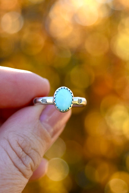 Campitos Turquoise Ring - Size 8.5