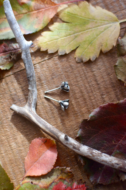 Succulent Stud Earrings