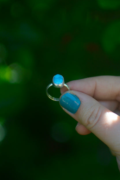 Sonoran Turquoise Ring - Size 6