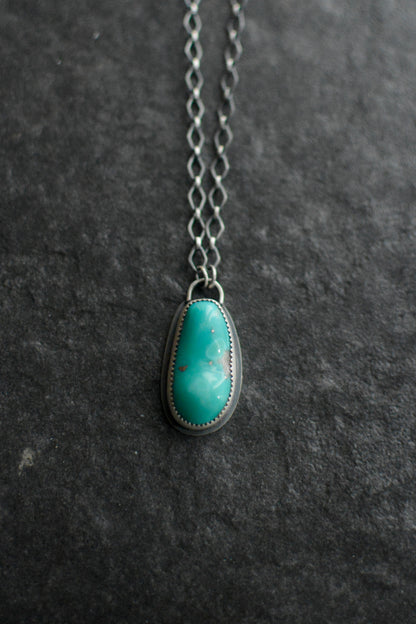 Campitos Turquoise Necklace - No. 1