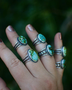 Sonoran Gold Turquoise Statement Ring - Various Sizes