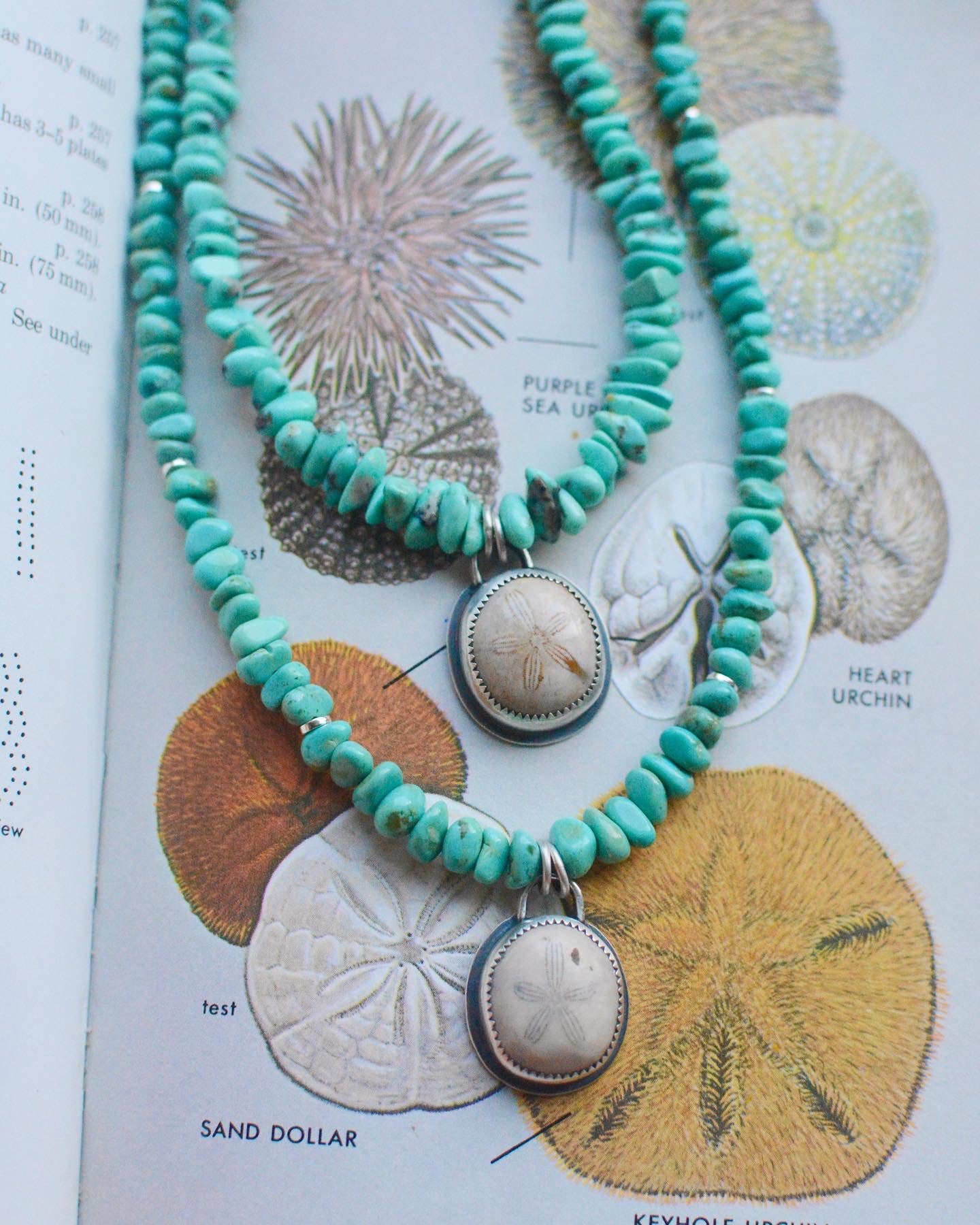 Turquoise Beaded Fossilized Sand Dollar Necklace - No. 2